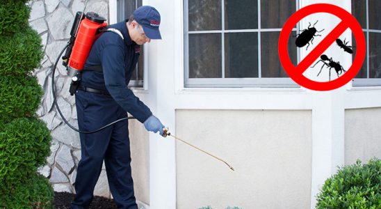 Pervari Dezenfeksiyon böcek ilaçlama ve haşere kontrolü — ilaclama-tr.com